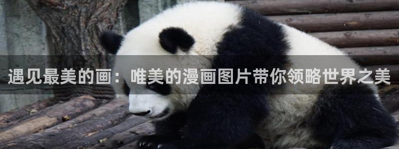 香蕉文化漫画小说下拉