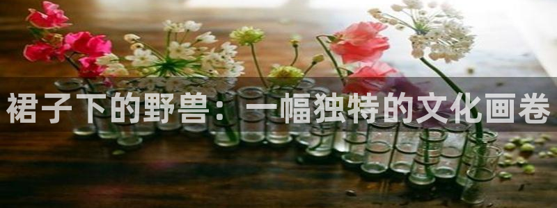 香蕉漫画展：裙子下的野兽：一幅独特的文化画卷