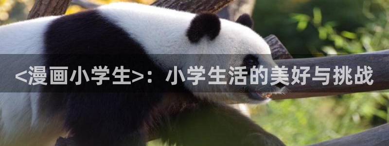 香蕉漫画免费版在线阅读