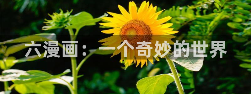 香蕉漫画-免费漫画